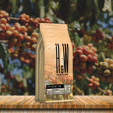 Uganda arabica  single origin coffee