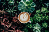 Dark roast coffees x 3 bags .Jemala,Espresso Bar and Premium Bar