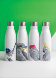 Maxwell & Williams Marini Ferlazzo 500ml Double Walled Insulated Bottle