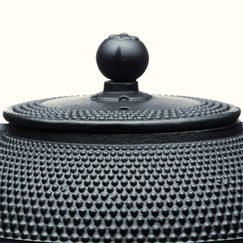 Le'Xpress Black Cast Iron Infuser Teapot - Herbert & Ward Ltd