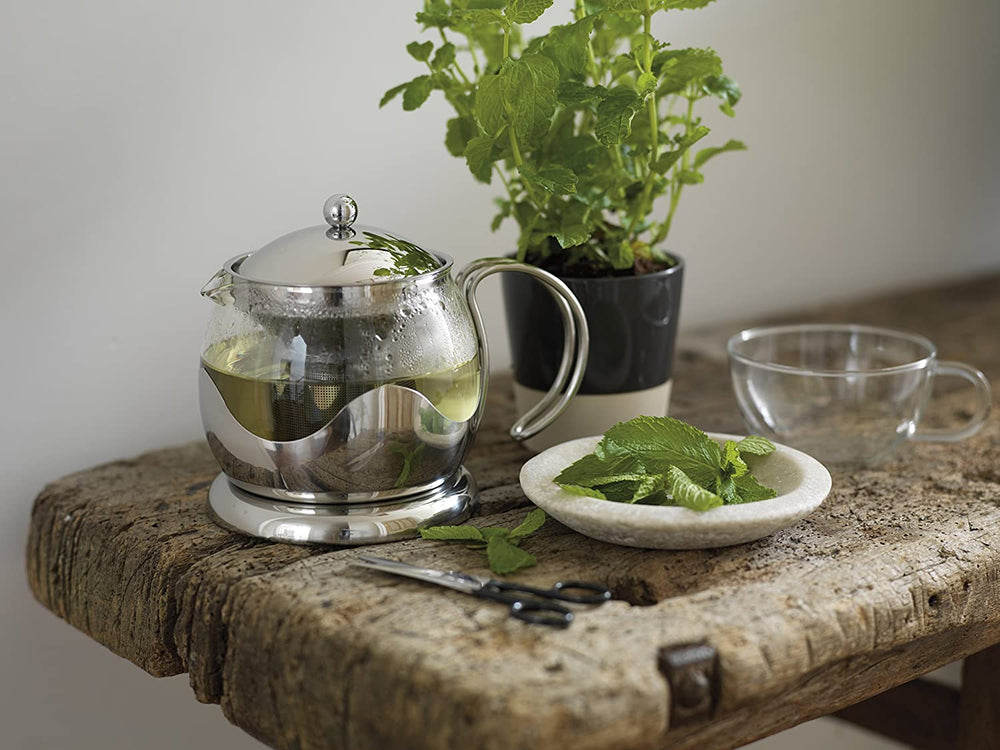 Le'Xpress Silver Glass Infuser Teapot - Herbert & Ward Ltd